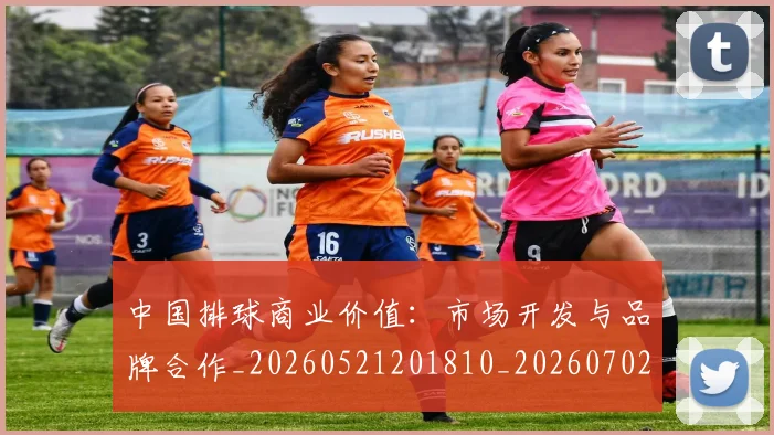 中国排球商业价值:市场开发与品牌合作_20260521201810_20260702202120