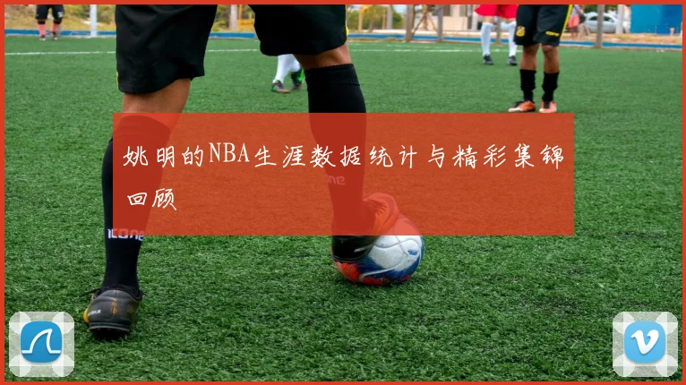 姚明的NBA生涯数据统计与精彩集锦回顾