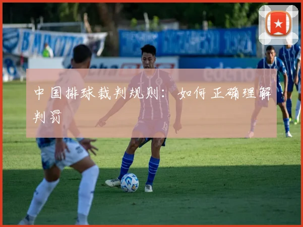 中国排球裁判规则：如何正确理解判罚
